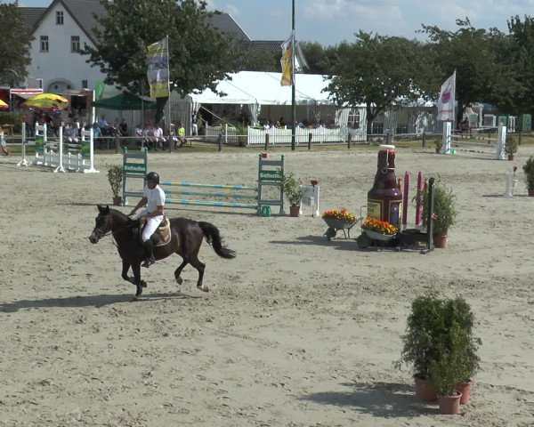 Reitturnier Bad Rothenfelde 2016