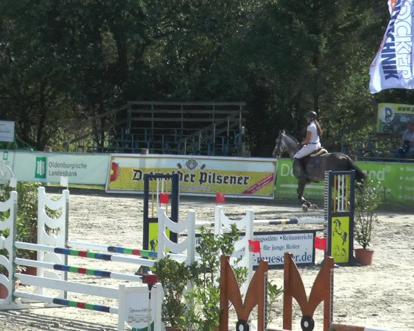 Reitturnier Bad Rothenfelde 2016
