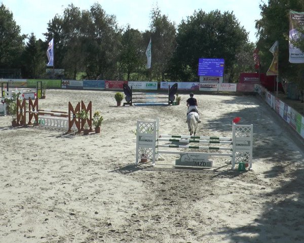 Reitturnier Bad Rothenfelde 2016