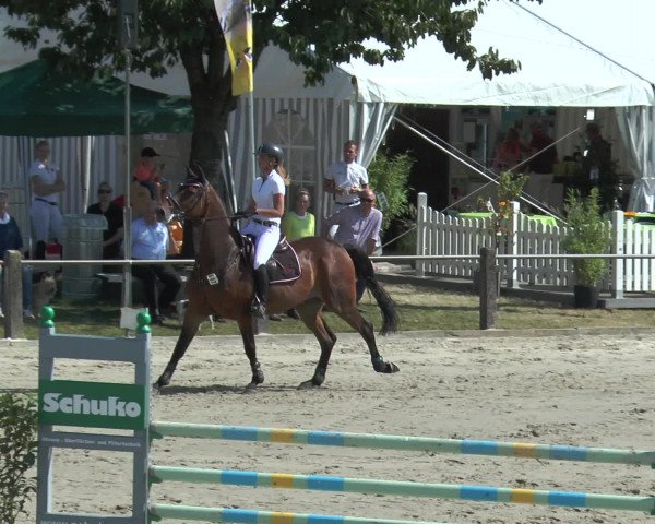 Reitturnier Bad Rothenfelde 2016