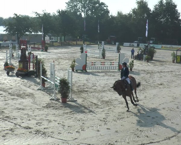 Reitturnier Bad Rothenfelde 2016