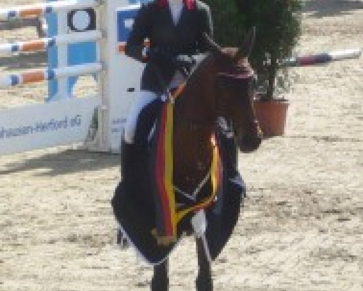 Broodmare Countess G (Holsteiner, 1993, from Caletto I)