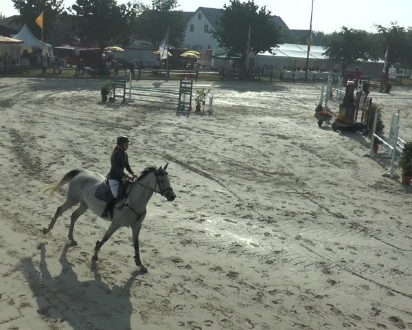 Reitturnier Bad Rothenfelde 2016