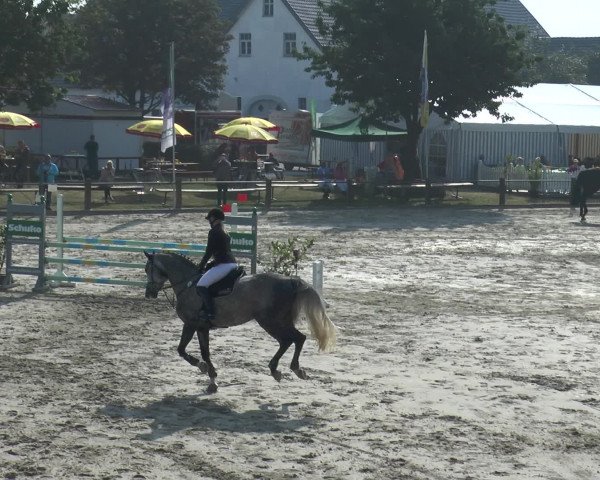 Reitturnier Bad Rothenfelde 2016