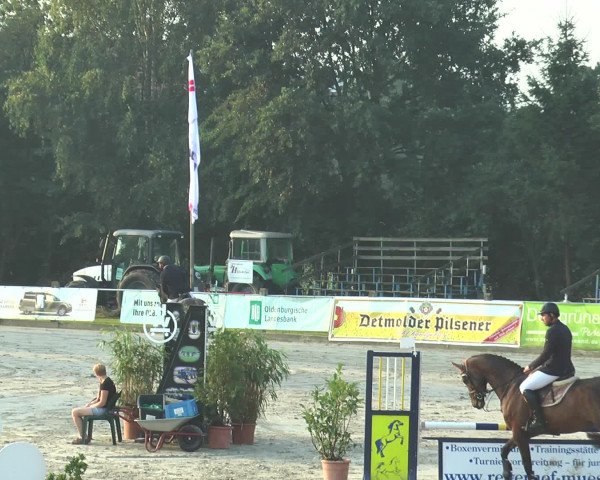 Reitturnier Bad Rothenfelde 2016