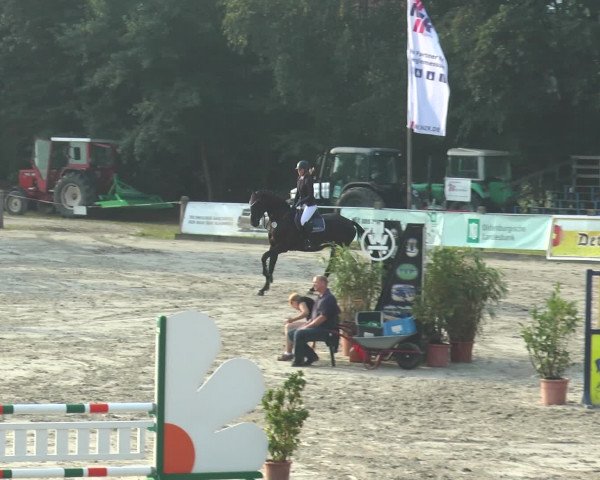 Reitturnier Bad Rothenfelde 2016