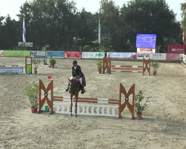 Reitturnier Bad Rothenfelde 2016
