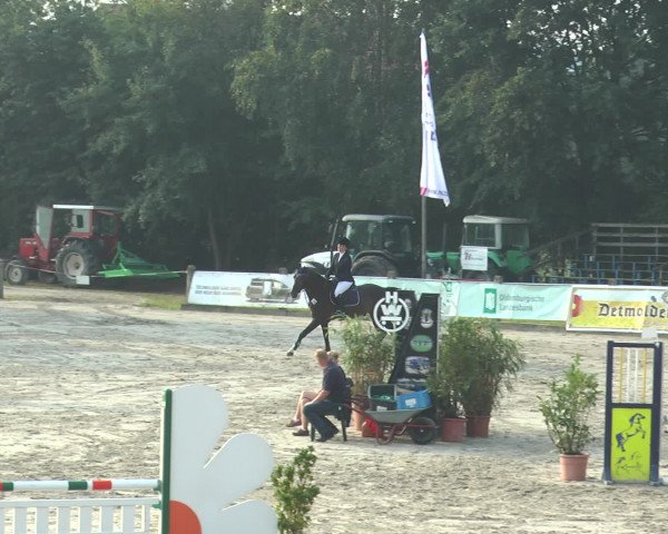 Reitturnier Bad Rothenfelde 2016