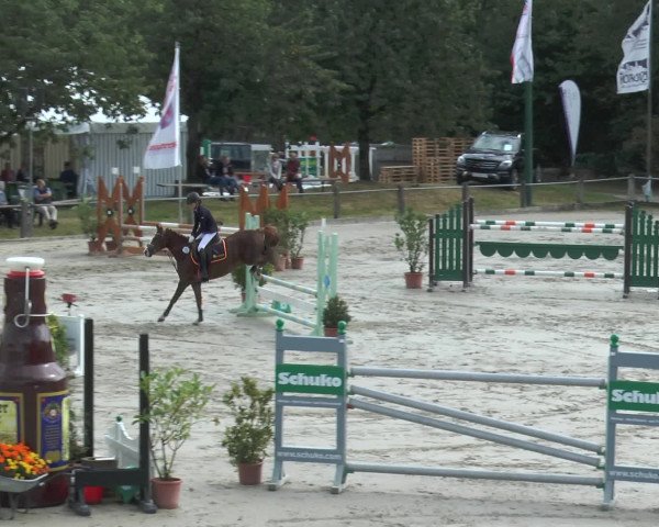 Reitturnier Bad Rothenfelde 2016