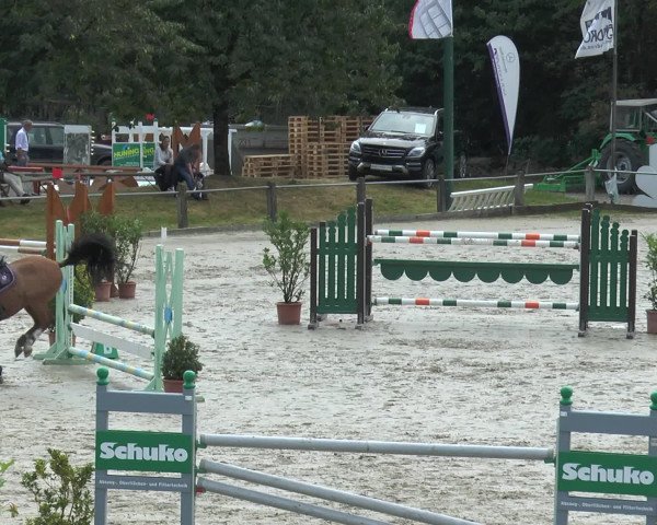 Reitturnier Bad Rothenfelde 2016