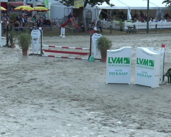 Reitturnier Bad Rothenfelde 2016