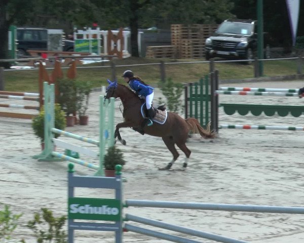 Reitturnier Bad Rothenfelde 2016