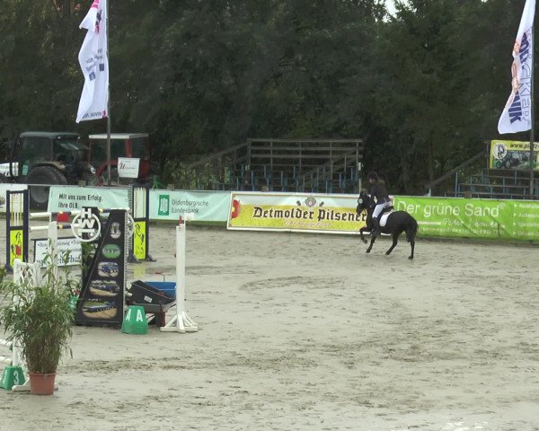 Reitturnier Bad Rothenfelde 2016