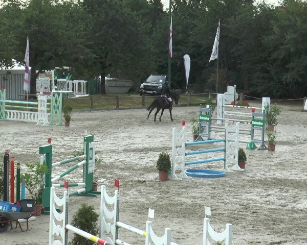 Reitturnier Bad Rothenfelde 2016