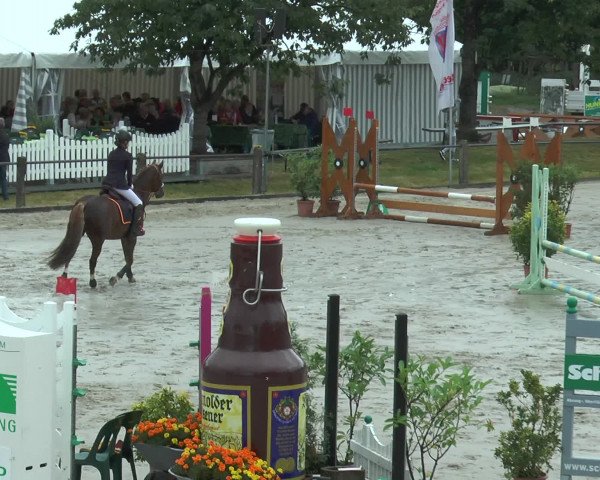 Reitturnier Bad Rothenfelde 2016