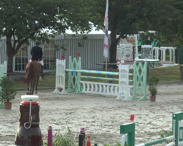 Reitturnier Bad Rothenfelde 2016