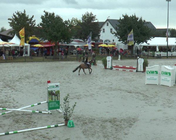 Reitturnier Bad Rothenfelde 2016