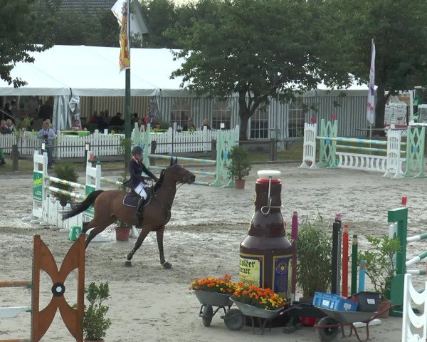 Reitturnier Bad Rothenfelde 2016
