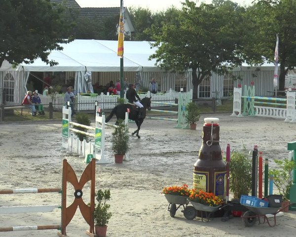 Reitturnier Bad Rothenfelde 2016