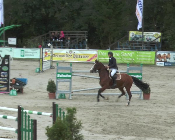 Reitturnier Bad Rothenfelde 2016