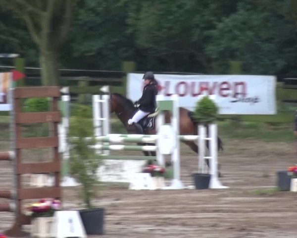 Kreisturnier des KPSV Neuss 2016