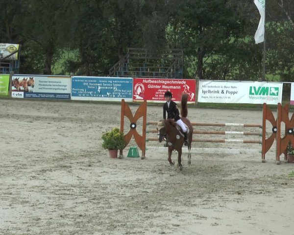 Reitturnier Bad Rothenfelde 2016