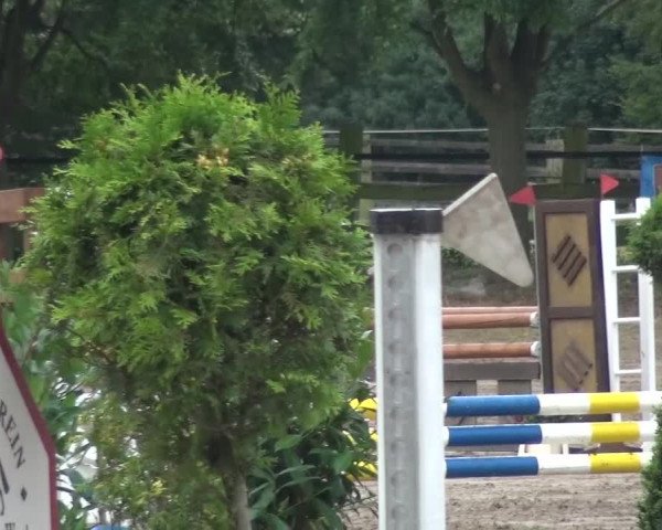 Kreisturnier des KPSV Neuss 2016