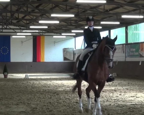 Kreisturnier des KPSV Neuss 2016