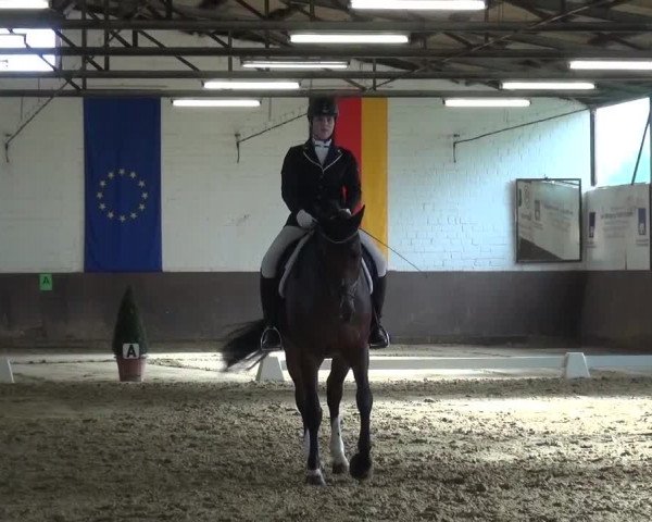 Kreisturnier des KPSV Neuss 2016