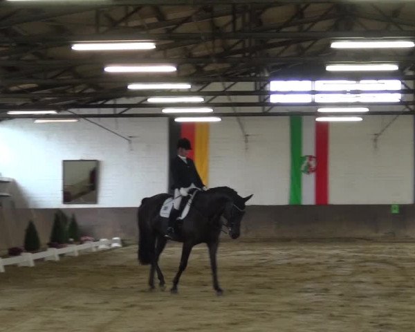 Kreisturnier des KPSV Neuss 2016