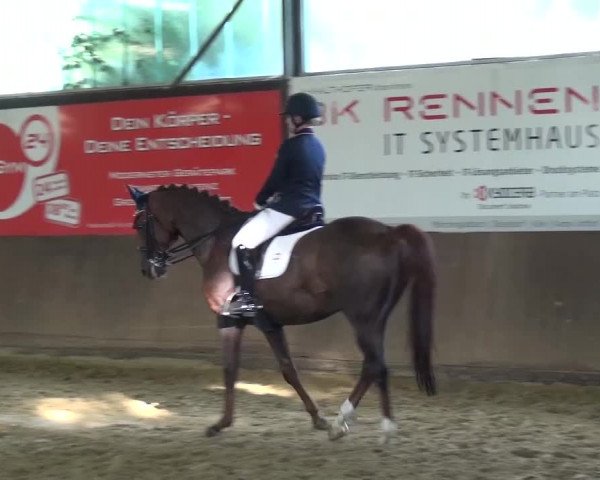 Kreisturnier des KPSV Neuss 2016