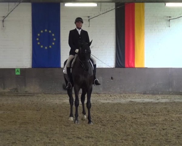 Kreisturnier des KPSV Neuss 2016