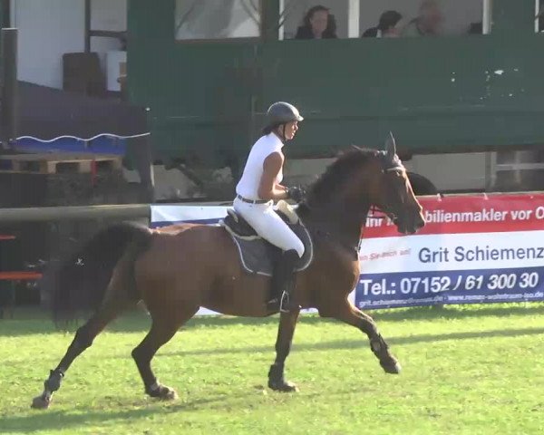 Leonberger Reiterspiele 2016