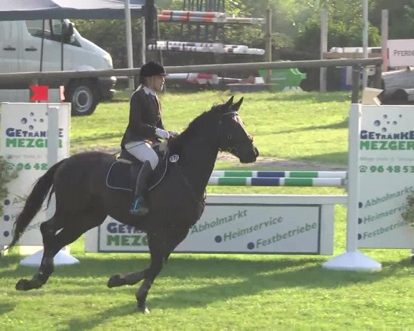 Leonberger Reiterspiele 2016