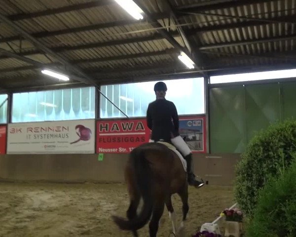 Kreisturnier des KPSV Neuss 2016