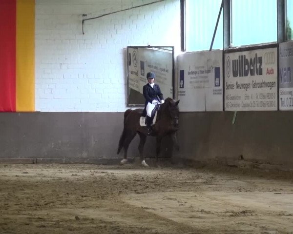 Kreisturnier des KPSV Neuss 2016
