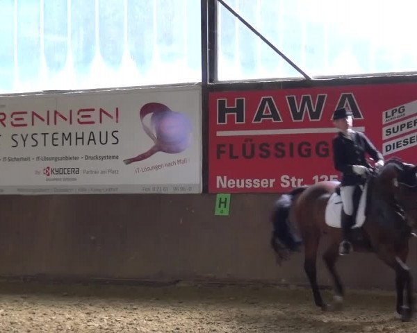 Kreisturnier des KPSV Neuss 2016
