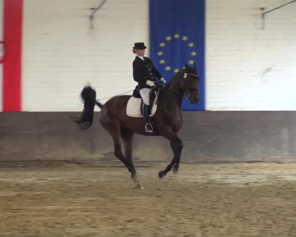 Kreisturnier des KPSV Neuss 2016