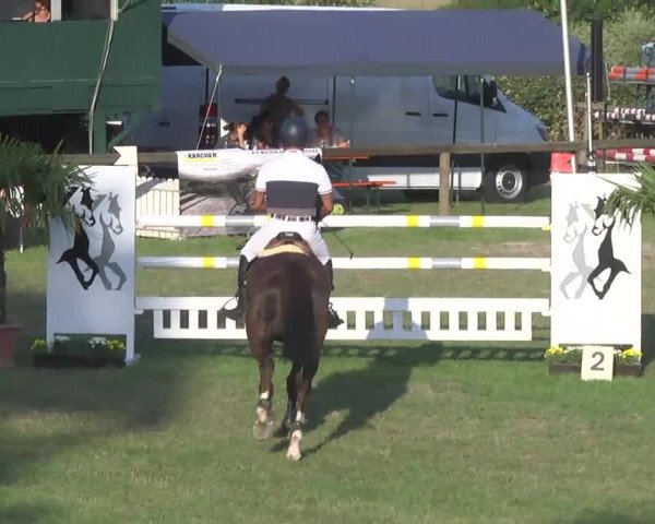 Leonberger Reiterspiele 2016