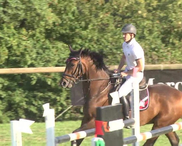 Leonberger Reiterspiele 2016