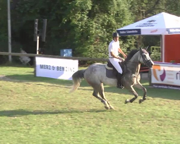 Leonberger Reiterspiele 2016