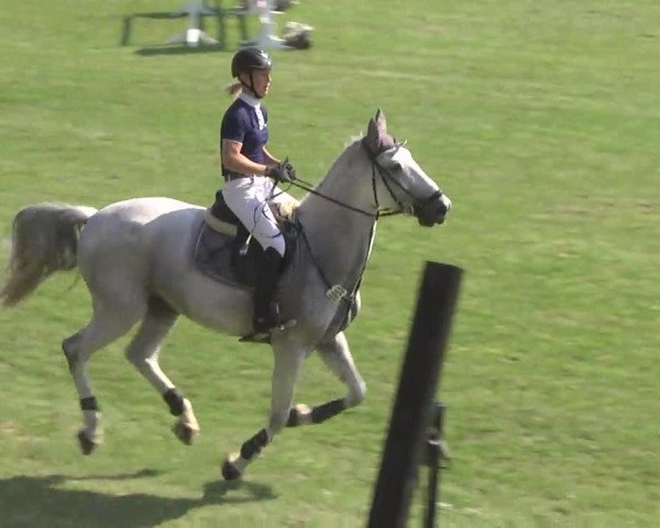 Leonberger Reiterspiele 2016