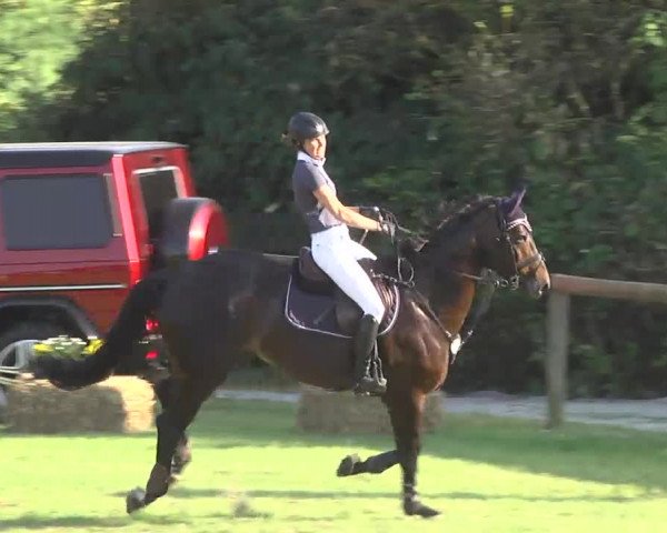 Leonberger Reiterspiele 2016