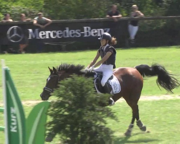Leonberger Reiterspiele 2016