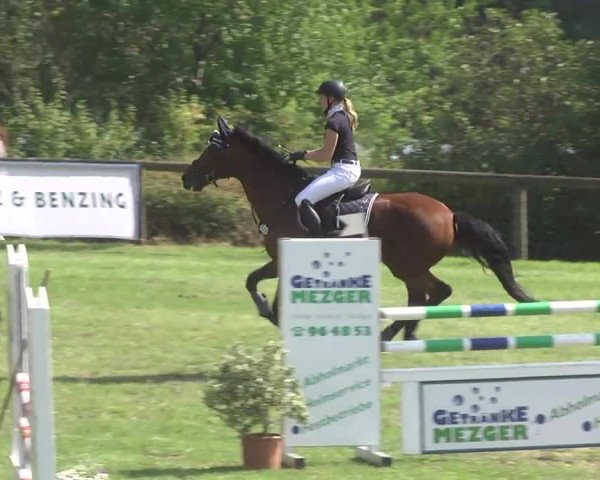 Leonberger Reiterspiele 2016