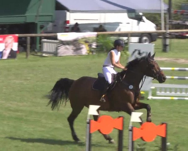 Leonberger Reiterspiele 2016