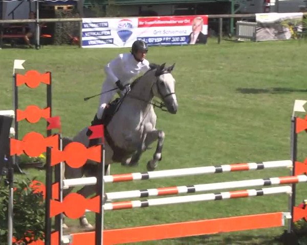 Leonberger Reiterspiele 2016