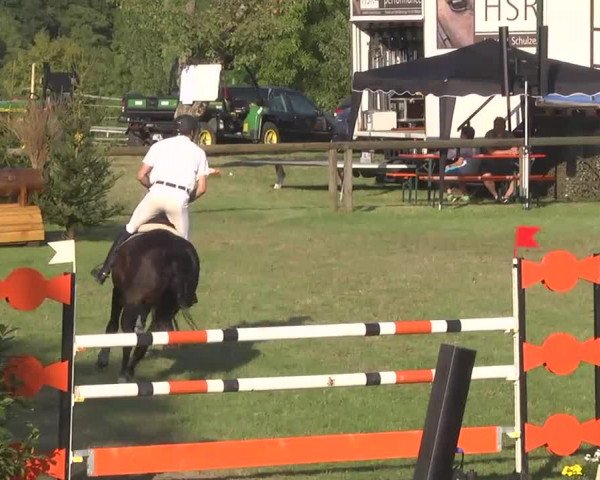 Leonberger Reiterspiele 2016