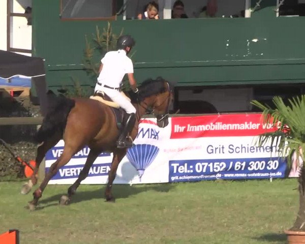 Leonberger Reiterspiele 2016
