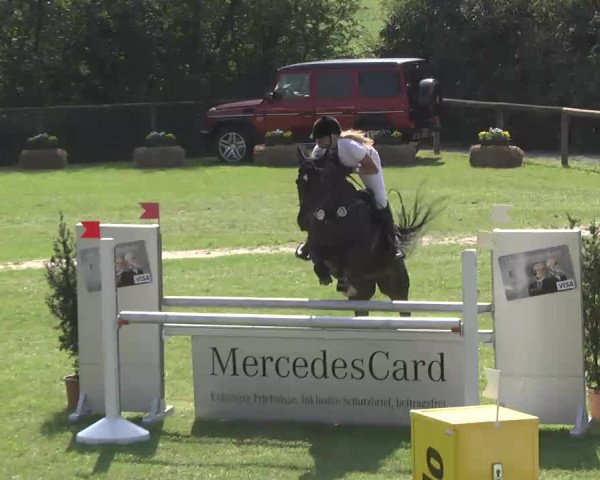 Leonberger Reiterspiele 2016